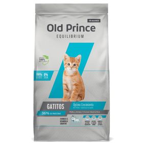 Old Prince Equilibrium kitten 3 kg