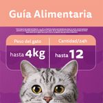 Whiskas-Snacks-Salmon-80--guia