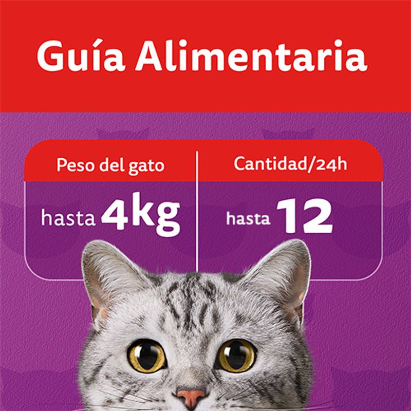 Whiskas-Snacks-Carne-80-grs-guia