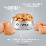 Optimum-Gato-Ad-baddies