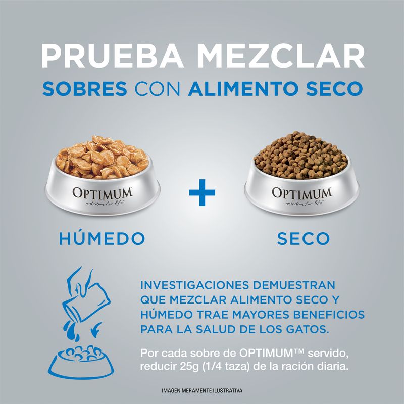 Optimum-Castrados-portfolio