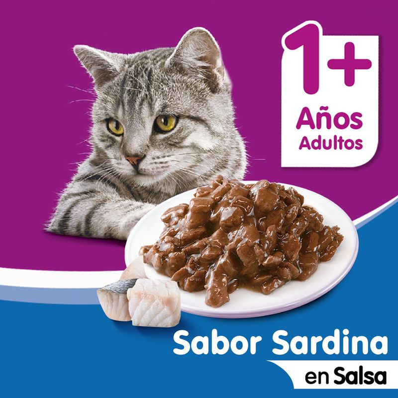 Whiskas-Sardinas-food