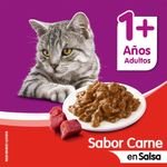 Whiskas-Gato-Ad-food