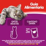 Whiskas-Gato-Ad-feeding