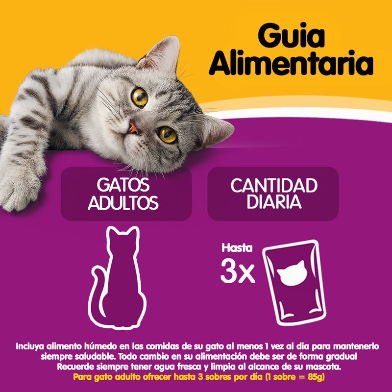 Whiskas-Pollo-feeding