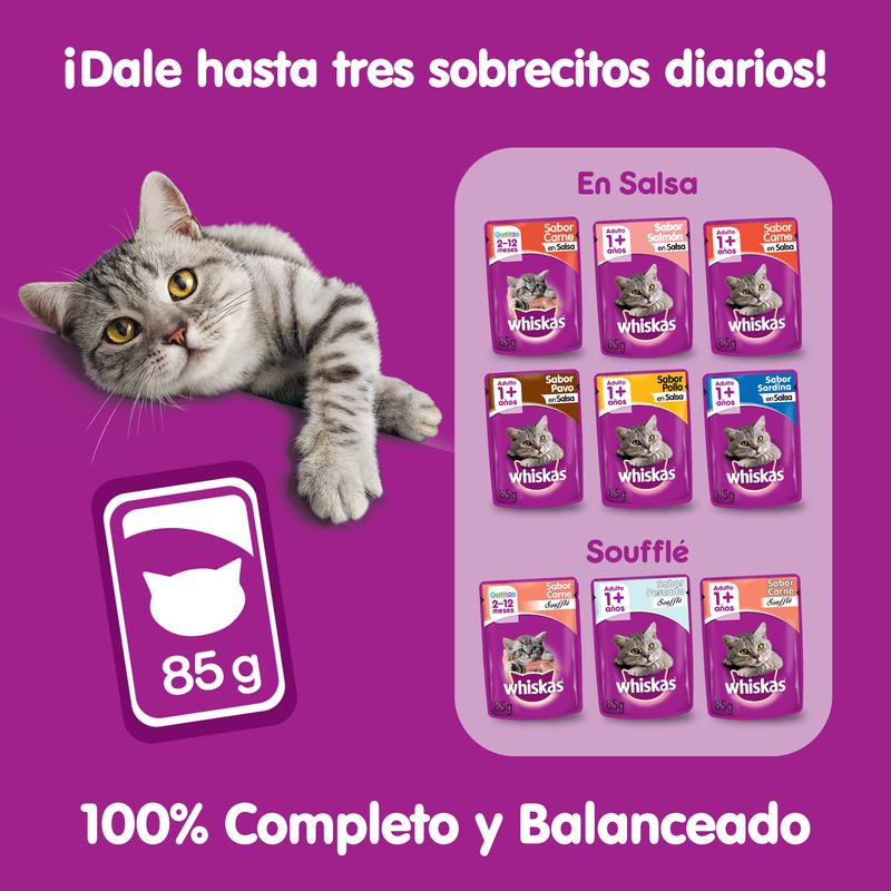 Whiskas-Pollo-portfolio