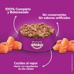 Whiskas-Salmon-baddies