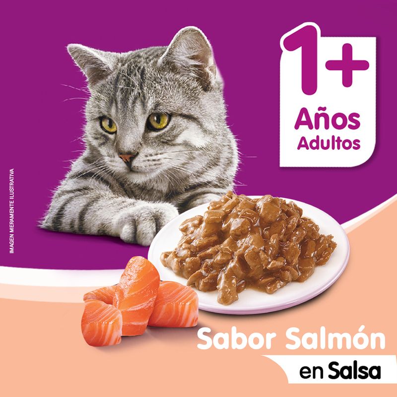 Whiskas-Salmon-food