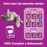 Whiskas-Salmon-portfolio