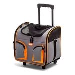 12502-Bolso-naranja.jpg