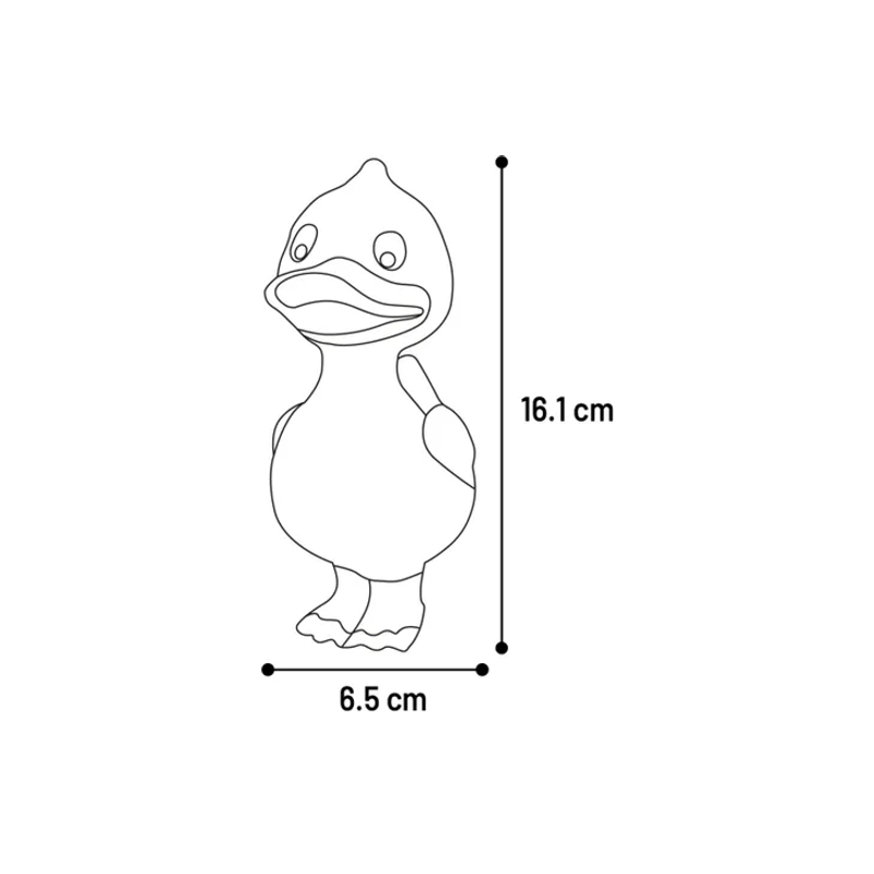 524067_T_01.jpg