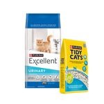 Excellent-Urinary---Tidy.jpg