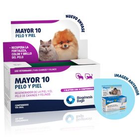 Mayor 10 Blister X 10 Comp.