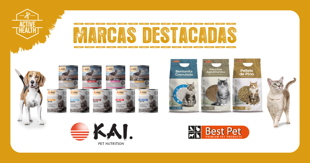 Ver productos